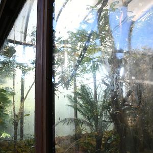 Aviary (Resplendent Quetzal enclosure)