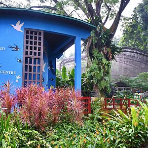 [CLOSED] Bird Discovery Centre and Lory Loft
