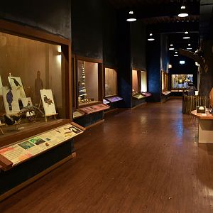 [CLOSED] Bird Discovery Centre