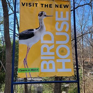 New Bird House Coming Soon!