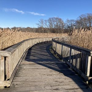 Nature Trail (leads to Ocean)