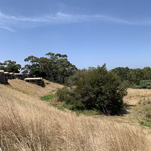 Grassland and Accomodation