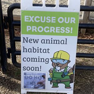 Coming Soon: Fennec Fox Exhibit