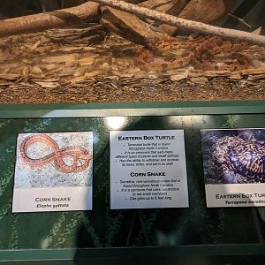 North Carolina Estuarium -Reptile tank sign