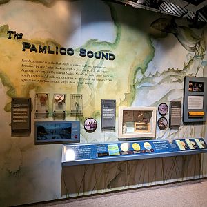 North Carolina Estuarium - Pamlico Sound display
