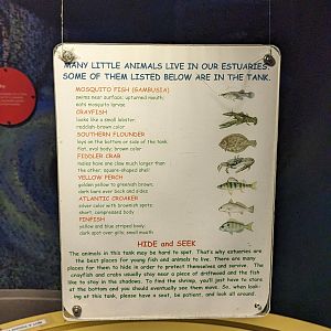 North Carolina Estuarium - estuary tank sign