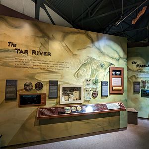 North Carolina Estuarium - The Tar Rive rdisplay