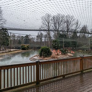 Multinational  Aviary