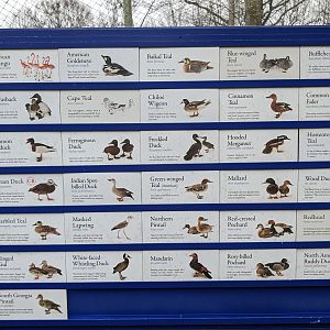 Multinational - signage