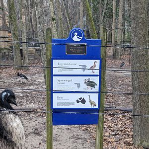 African Geese yard sign and emu