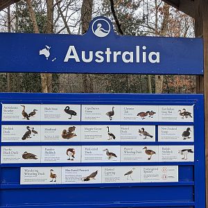 Australia Aviary sign
