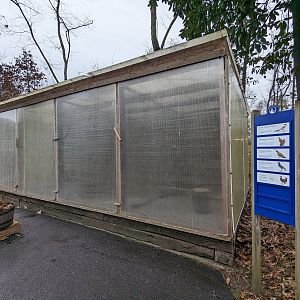 Aviary across from Australia aviary