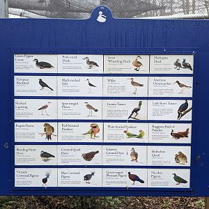 Birds of Paradise sign