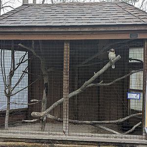 Kookaburra aviary
