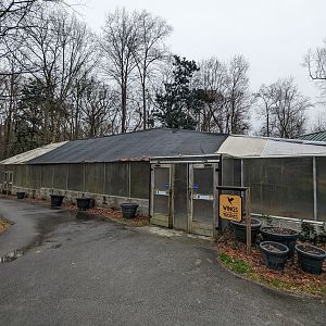 Wings of the Tropics aviary