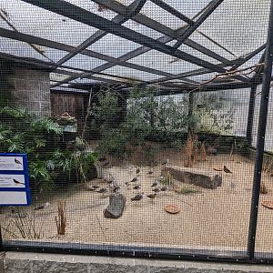 Wings of the Tropics 1st side aviary
