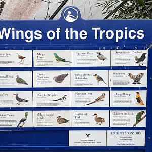Wings of the Tropics aviary sign