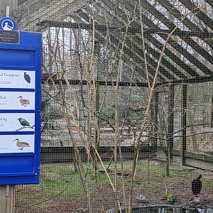 Aviary (outside wings of the tropics)