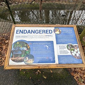 Endangered Pond - sign