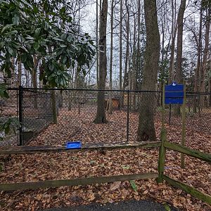 Empty yard (previsouly emu?)