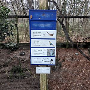 Peafowl and Pheasants - sign