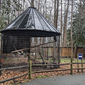 Eurasian Eagle Owl enclosure