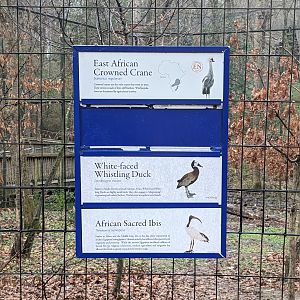 Crowned Crane Aviary - sign