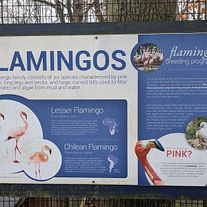 Flamingos Aviary - sign