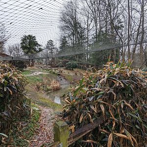 Eurasia Aviary - overview