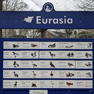 Eurasia Aviary  - main sign