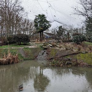 Eurasia Aviary - landscape