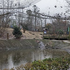 North America Aviary