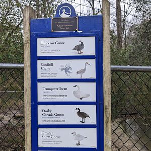 North America Aviary - sign
