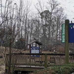 North America Aviary - walkway and view