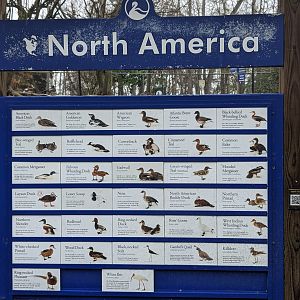 North America Aviary - main sign