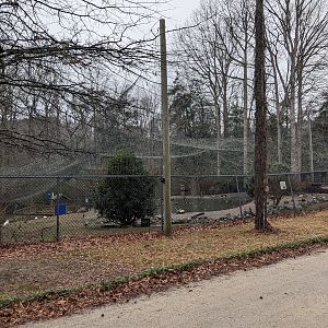 North America Aviary