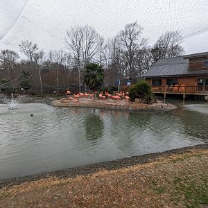 Multinational - various