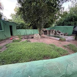 Cape Clawless Otter Enclosure (onyx capensis)