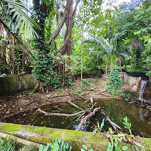 Siamese crocodile exhibit