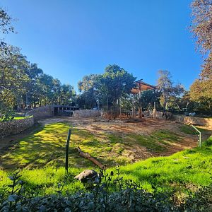 African Elephant Exhibit #1