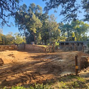 African Elephant Exhibit #2