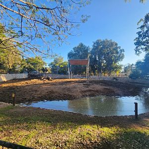 Asian Elephant Exhibit