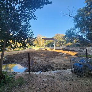 Asian Elephant Exhibit