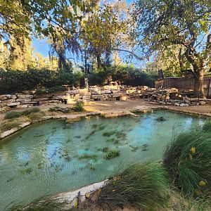 African Penguin Exhibit
