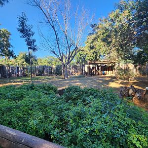 Parma Wallaby Exhibit