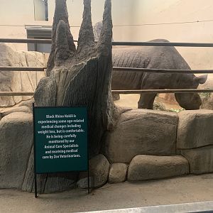 Nakili and sign about him