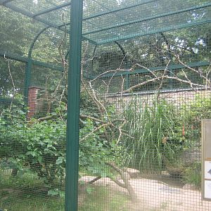 Berlin Tierpark - Black parrot aviary
