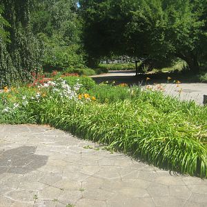 Berlin Tierpark - Karl-Foerster-Garten