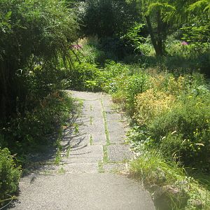 Berlin Tierpark - Karl-Foerster-Garten