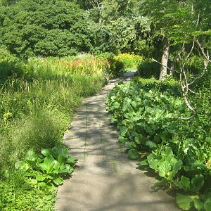 Berlin Tierpark - Karl-Foerster-Garten